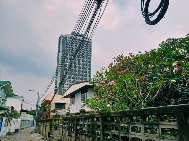 泰國曼谷空訕區湄南河畔歷史村落古跡寺廟華人祠堂一日遊行程，小橋流水景色優美，適合打卡拍照📸