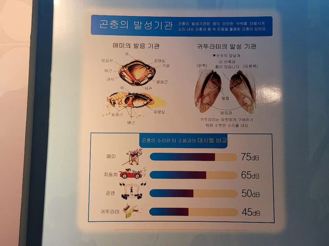 경상북도 예천군 곤충 생태 체험관 입니다.