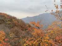 Pofeng Ridge 坡峰岭 is a Hidden Gem for Hikers 🌿🏞️