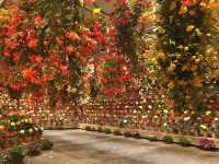 สวนดอกไม้ล้ำๆ และแสงสียามค่ำคืนอลังการ ใกล้นาโกย่า