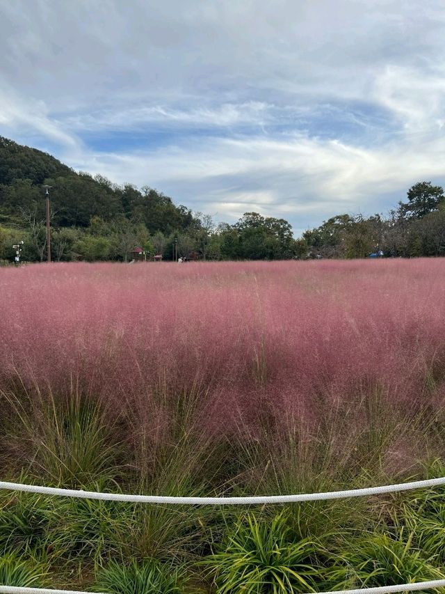 🌿 경남 함안 1박 2일 여행 코스 🏞️