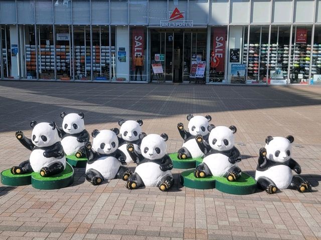 東京上野淺草遊