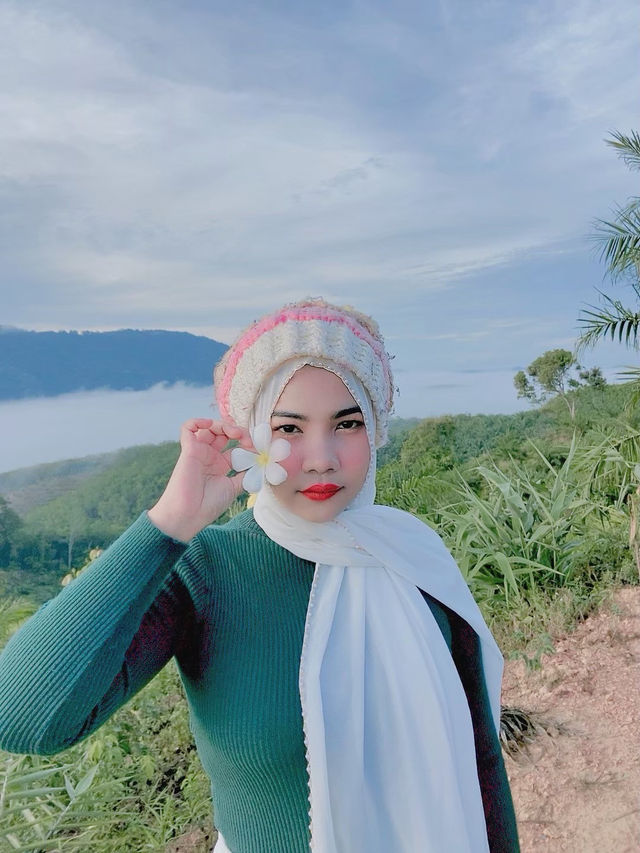 ลานกางเต็นท์ ดอยดึงดาว - พังงา