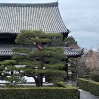 砧公園～尋找和風