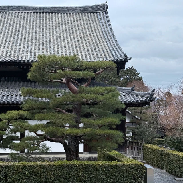 砧公園～尋找和風