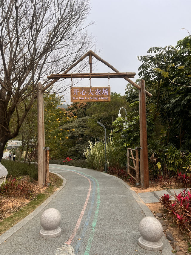 珠海木頭沖村鶴道花海——周末郊遊好去處