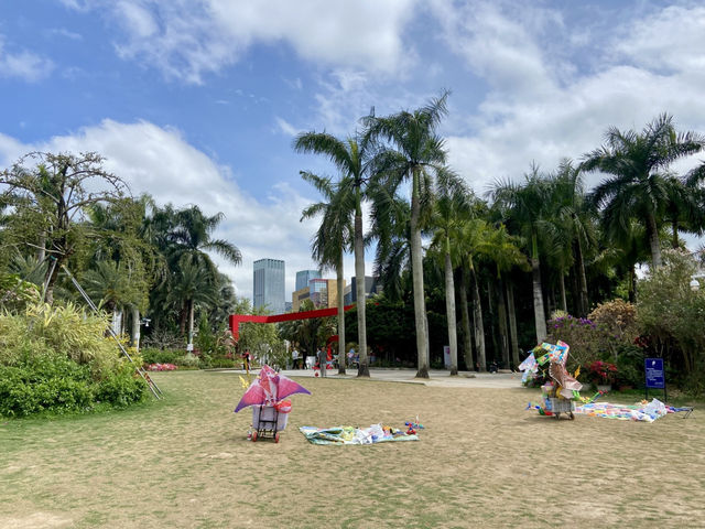 深圳花花世界💕🪷蓮花山公園🌟