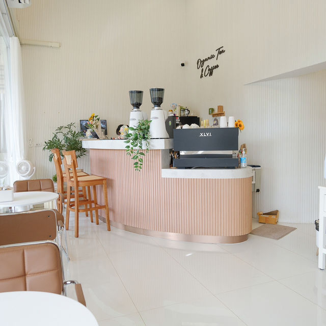 ใบชา & ยาไทย - Organic Tea & Coffee