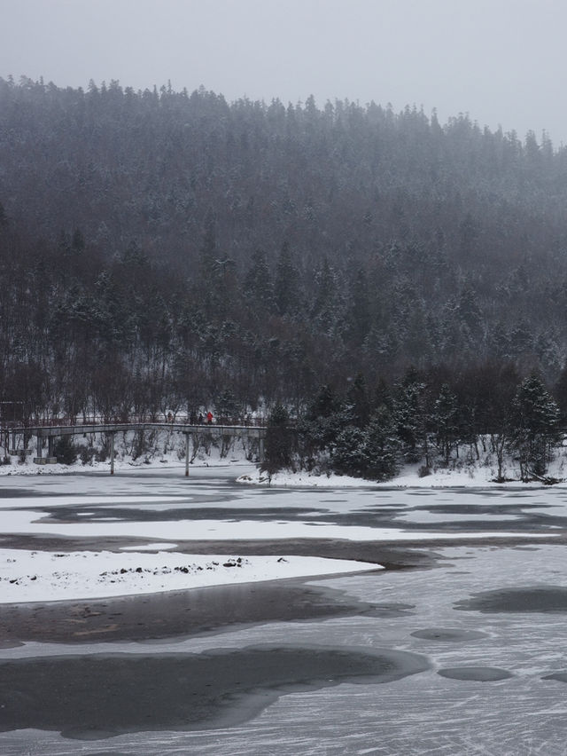 心中的日月：香格里拉普達措彷彿雪國