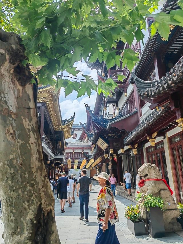Shanghai City Walk