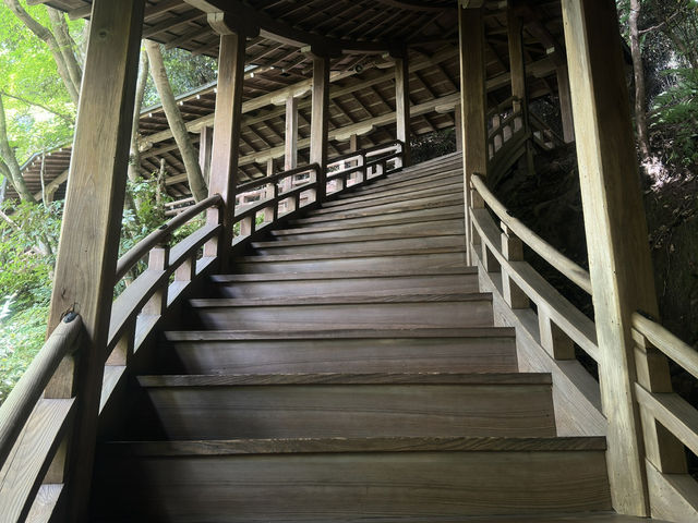 Eikando Temple: A Tranquil Stroll Through Kyoto’s Hidden Gem