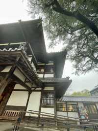 香川｜相傳為狩獵砍光栗林的栗林公園 從顯貴豪邸到藩主秘密花園