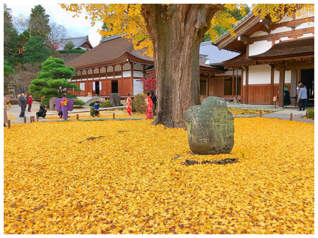 【岐阜/多治見】国宝に指定された観光スポット‼︎＊虎渓山 永保寺 （こけいざん えいほうじ）＊
