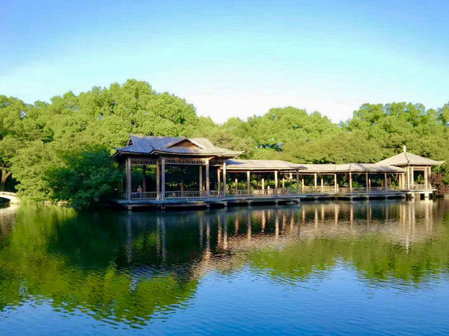 Tranquility in Bloom: West Lake Hangzhou