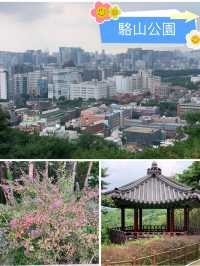 駱山公園的心靈漫步：一段難忘的旅程🌄