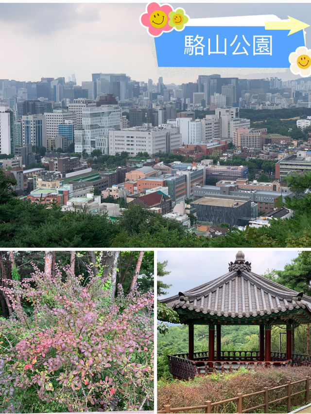 駱山公園的心靈漫步：一段難忘的旅程🌄