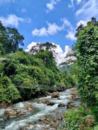 ลอดประตูสวรรค์ ✨วัดสวยกลางป่า 🌿