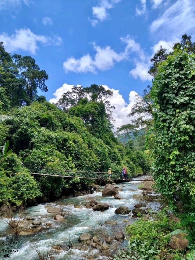 ลอดประตูสวรรค์ ✨วัดสวยกลางป่า 🌿