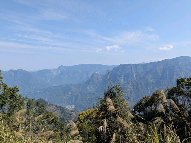 奮起湖大凍山，杉林雲海之間的親山健行步道