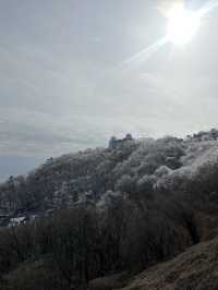 청계산 갔다가 겨울왕국 체험함…☃️🌿