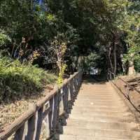 Tamagawadai Park (多摩川台公園)
