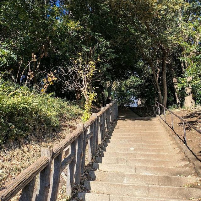 Tamagawadai Park (多摩川台公園)