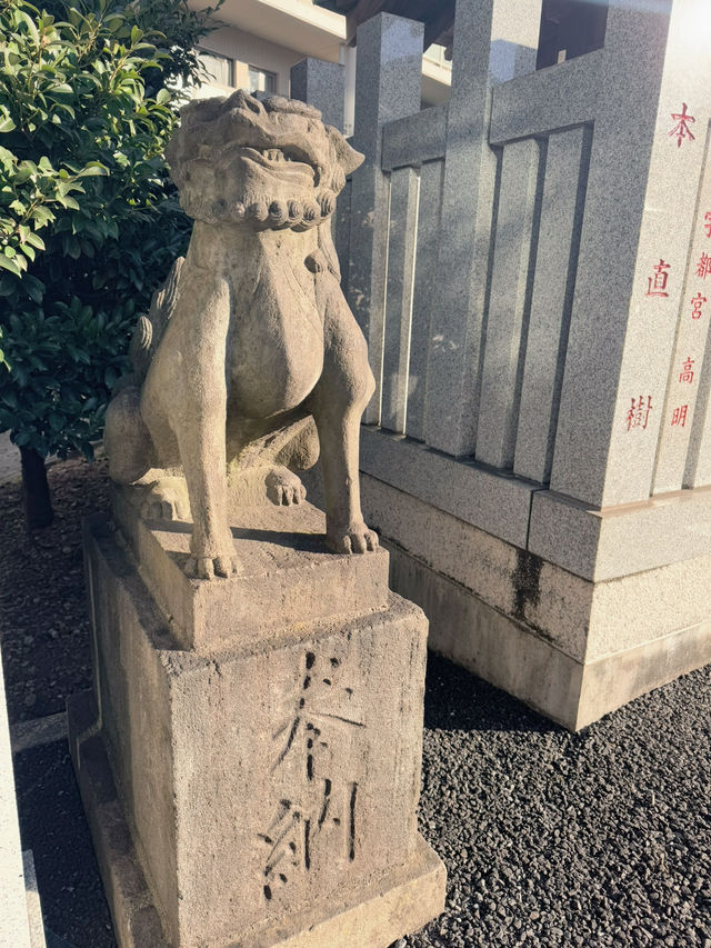 【東京】月替わり・猫御朱印がかわいい神社✨