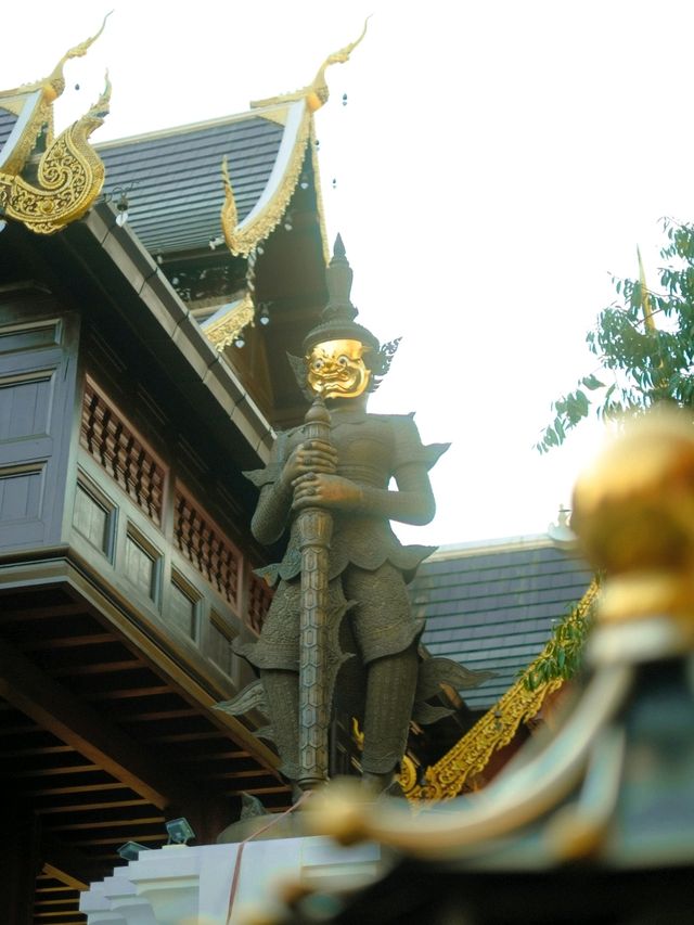 สายมูต้องมา! วัดป่าแดด เชียงใหม่