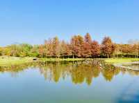 Hong Kong Wetland Park: A Springtime Haven of Beautiful Nature