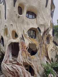 Step into a Fairytale: The Crazy House of Dalat