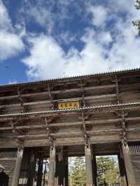 穿越千年的守護者：東大寺南大門初訪記⛩️