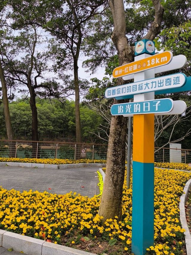 惠州除了西湖外,還是一個紅花湖也很美