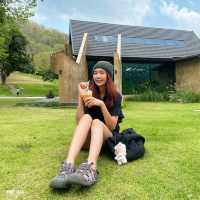 คาเฟ่เปิดใหม่ชลบุรี Shush เหมือนไปเขาใหญ่ 