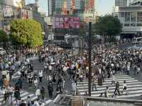 渋谷一日遊 | 行街攻略 🏙️