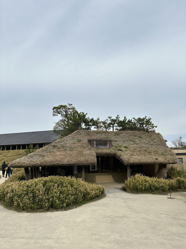 La Collina 近江八幡，草根屋建築童話甜點園區，滋賀必吃甜點
