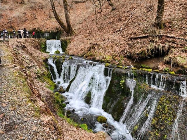 [🇯🇵軽井沢] 白糸の滝 — 自然の美を感じる静寂の空間