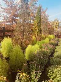 Spring's Hidden Botanical Treasures 