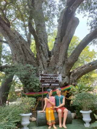 Visit Khun Phaen House and see the giant tamarind tree over 100 years old.
