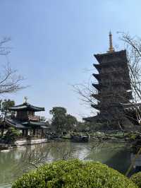 【上海の古刹】500年の歴史ある宝山寺でまったり