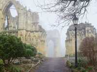 Museum Gardens & St. Mary’s Abbey