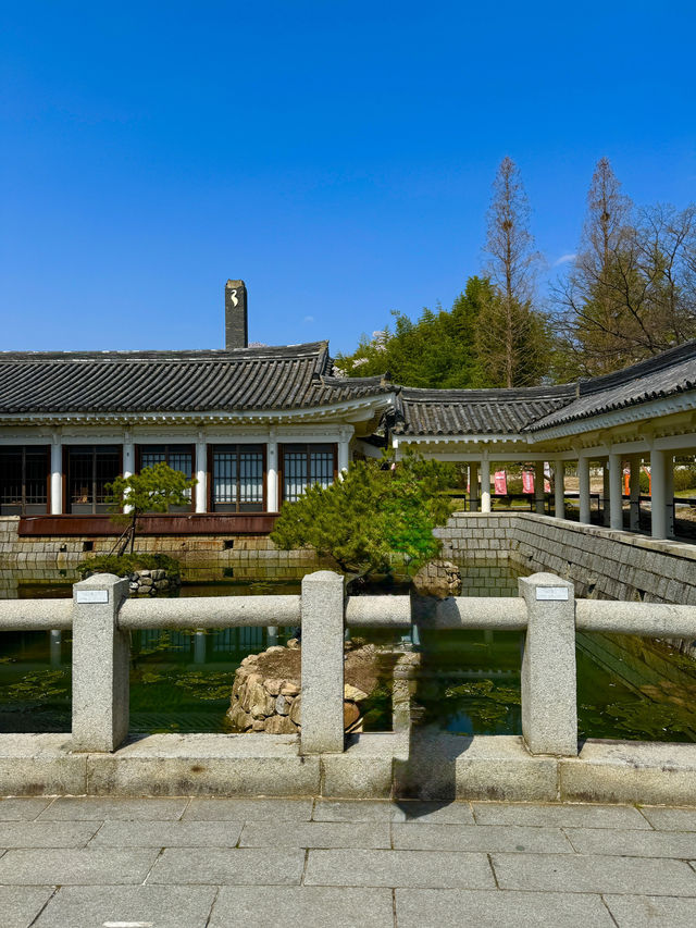 경상도 대표 벚꽃 명소! 경주에 놀러와요