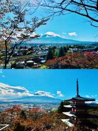 【日本山梨】新倉山淺間公園：步入秋天的畫卷