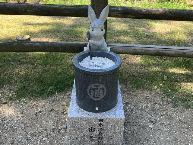 【神々のふるさと】出雲大社 ⛩🌿✨