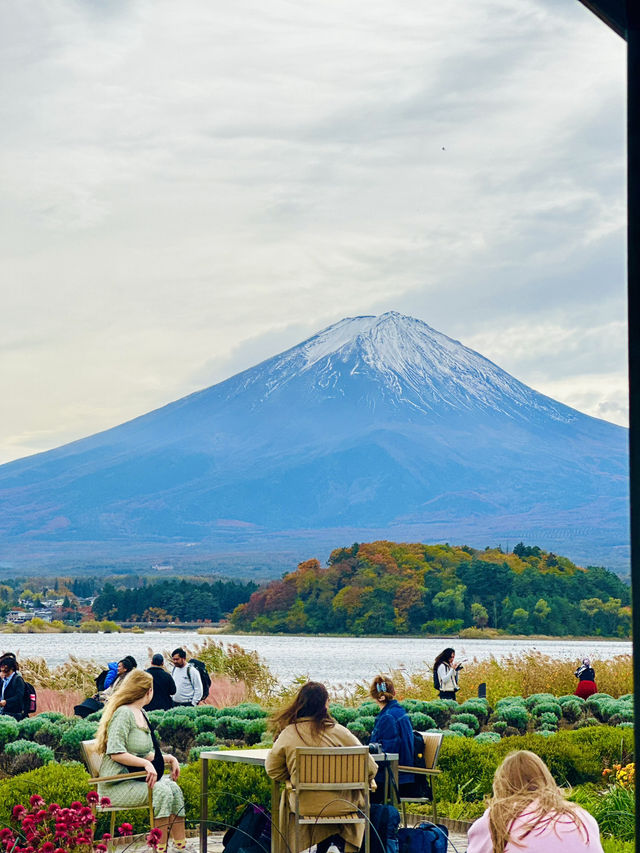 Japan: A Journey to Remember