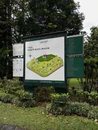 Watching concert in Kebun Raya Bogor🫶🏻