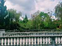越南大叻市中心著名寺廟景點：觀音廟Hidden Buddhist temple，祈福非常靈驗，適合打卡拍照📸冥想
