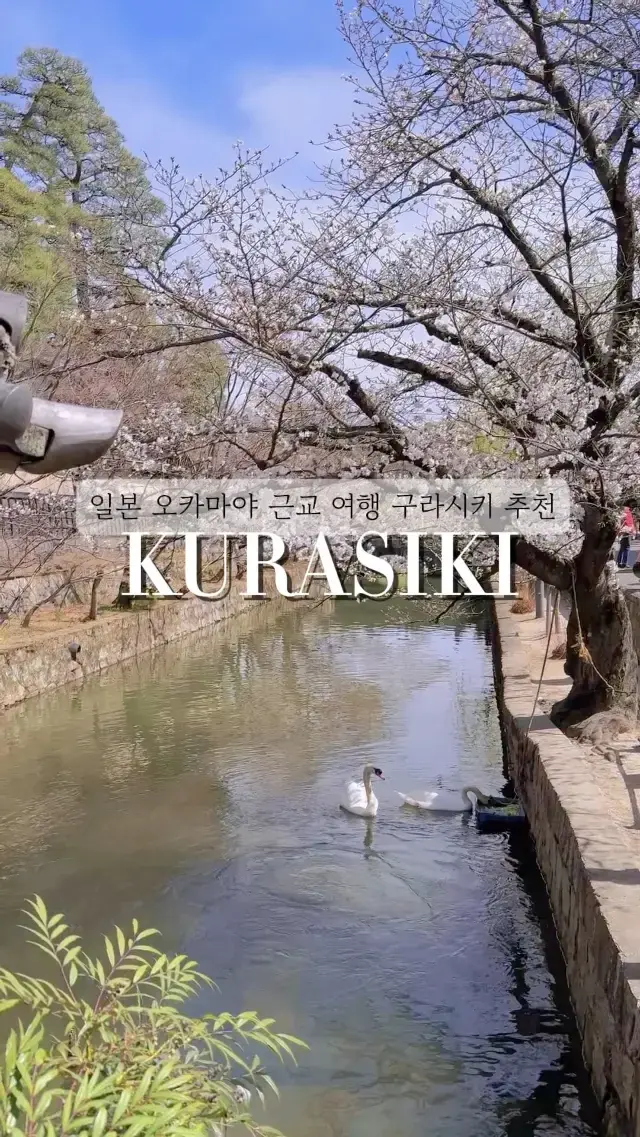 일본 오카야마 근교 여행 구라시키 추천🇯🇵