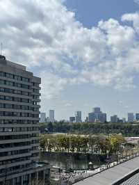 【新丸ビル7階テラスの魅力：都会のオアシスで味わう絶景と美食】