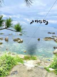 울산 서생에 위치한 느좋 오션뷰 카페 🌊