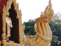 วัดพระธาตุหนองบัว